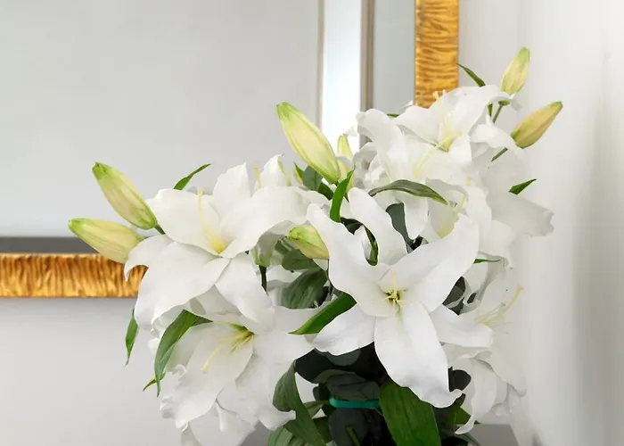 Charm & Elegance Off Via Veneto 2br, 2ba דירה